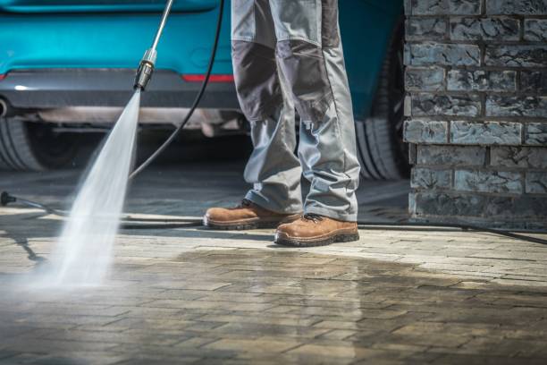 Best Roof Washing  in Needville, TX